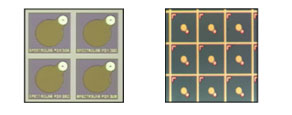 300µm and 75µm device dies